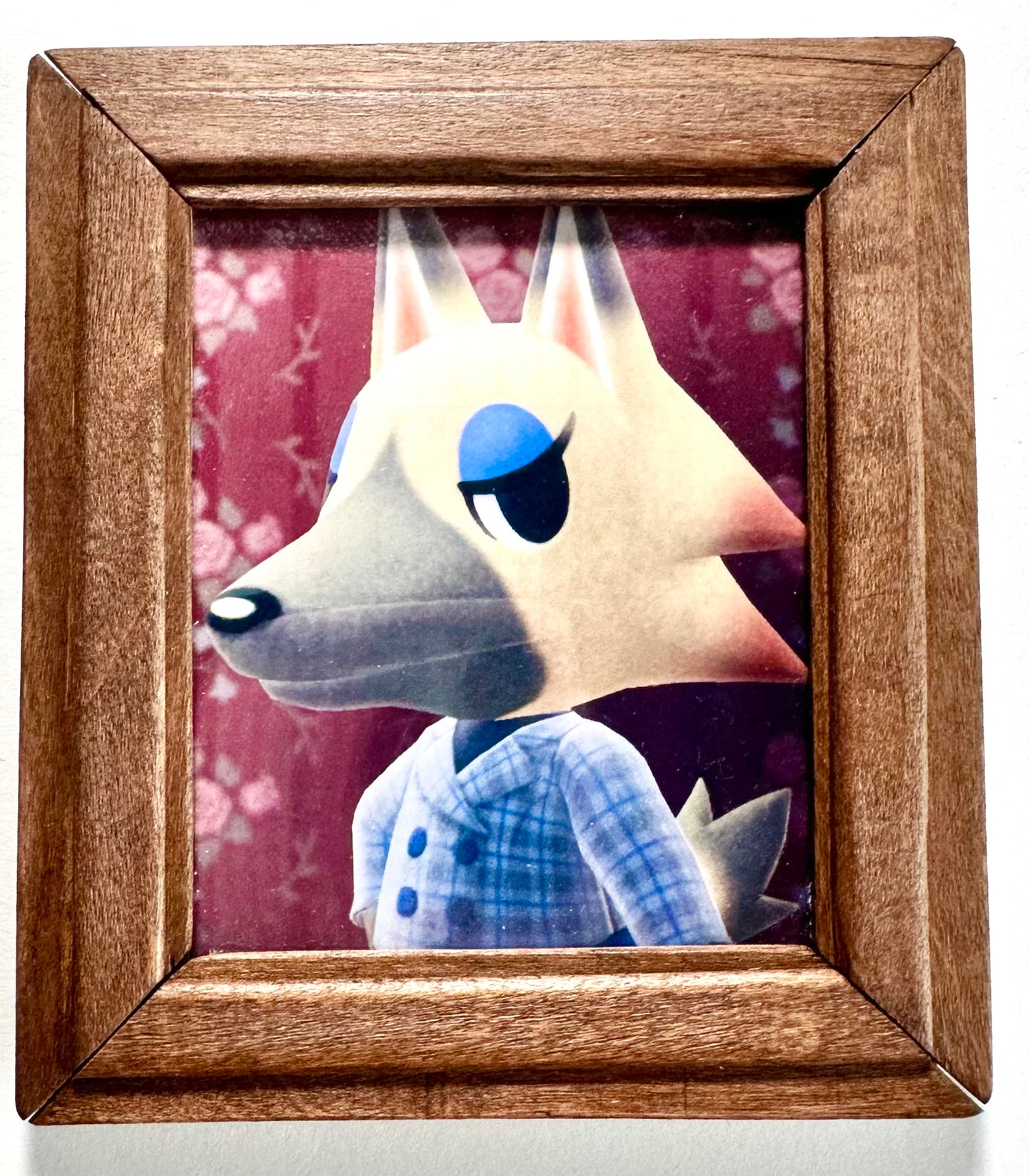 Molded Stained or Painted Villager Frame
