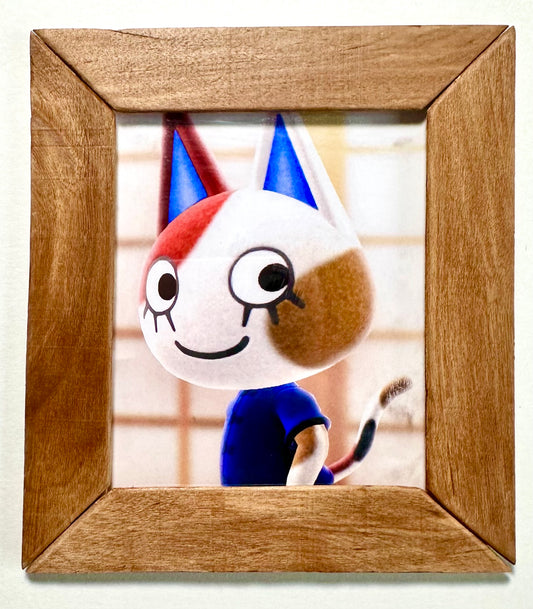 Stained or Painted Villager Frame